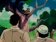 Dragon Ball Z Episódio 16 Dublado