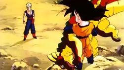 Dragon Ball Z Episódio 206 Dublado