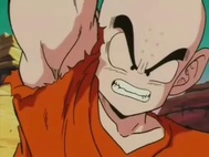 Dragon Ball Z Episódio 33 Dublado