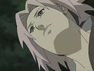 Naruto Shippuuden Episódio 09 Online