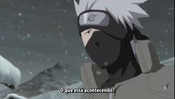 Naruto Shippuuden Episódio 206 Online