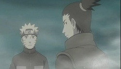 Naruto Shippuuden Episódio 231 Online