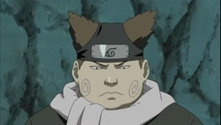 Naruto Shippuuden Episódio 239 Online