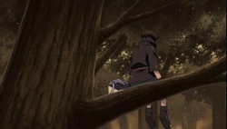 Naruto Shippuuden Episódio 317 Online