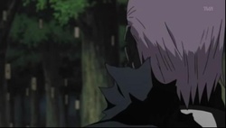 Naruto Shippuuden Episódio 86-87 Online