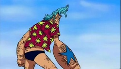 One Piece Episódio 304 Online