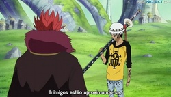 One Piece Episódio 404 Online