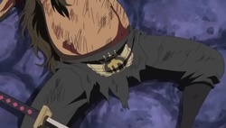 One Piece Episódio 446 Online