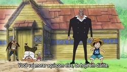 One Piece Episódio 493 Online