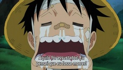 One Piece Episódio 495 Online