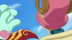 One Piece Episódio 510 Online