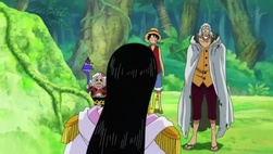 One Piece Episódio 516 Online