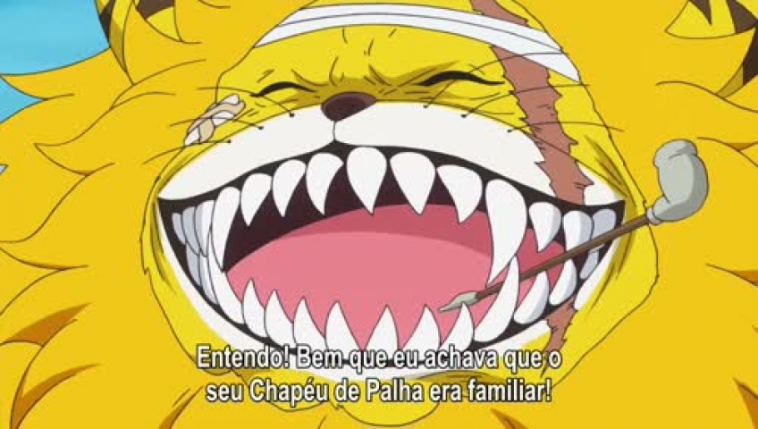 One Piece Episódio 772 Online