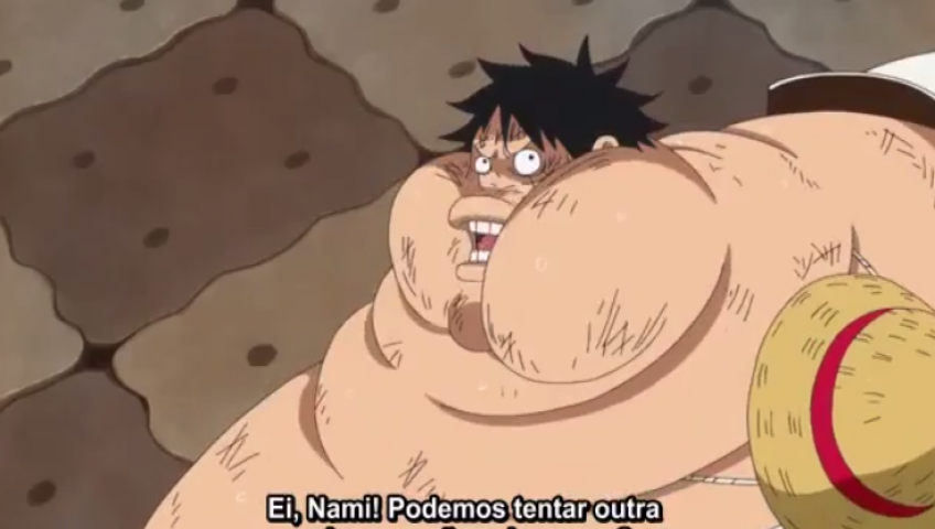 One Piece Episódio 805 Online