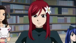 Fairy Tail Episódio 136 Online