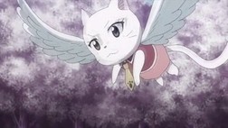 Fairy Tail Episódio 229 Online