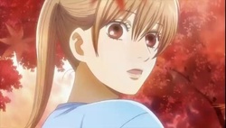 Chihayafuru 2 Episódio 17 Online