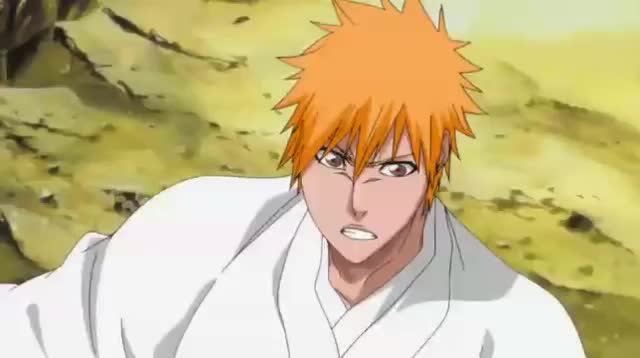 Bleach Episódio 340 Online