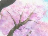 Clannad After Story Episódio 12 Online