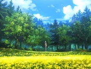 Clannad After Story Episódio 18 Online