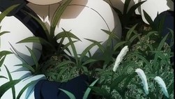 Coppelion Episódio 01 Online