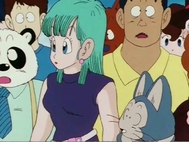 Dragon Ball Clássico Dublado Episodio 137 Online