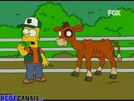 Os Simpsons Episódio 417 Online