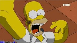 Os Simpsons Episódio 489 Online