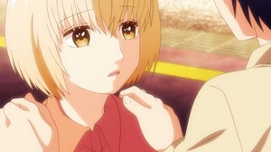 3D Kanojo: Real Girl - Episódio 11 Online