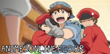 Hataraku Saibou - Episódio 05 Online