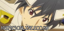 Infinite Stratos 2 - Episódio 12 Online