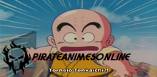 Dragon Ball - Episódio 017 Online