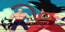 Dragon Ball - Episódio 100 Online