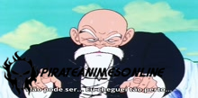 Dragon Ball - Episódio 111 Online