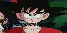 Dragon Ball - Episódio 143 Online