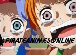 One Piece – Lágrimas da Navegadora e Laços dos Companheiros