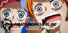 One Piece - Lágrimas da Navegadora e Laços dos Companheiros - Episódio 0 Online