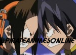 Shaman King