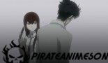 Steins Gate - Episódio 24