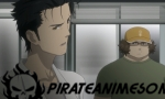 Steins Gate