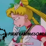 Bishoujo Senshi Sailor Moon: Sailor Stars Dublado