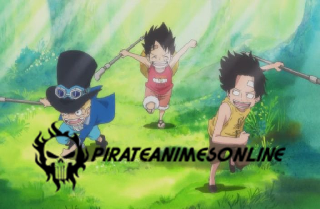 One Piece - Episódio 880