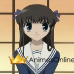 Fruits Basket