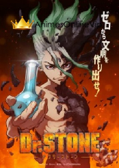 Dr. Stone