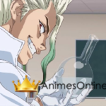 Dr. Stone