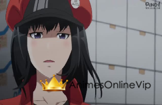 Hataraku Saibou - Episódio 13