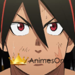 Hinomaruzumou