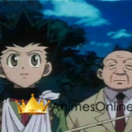 Hunter X Hunter