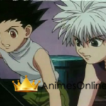 Hunter X Hunter