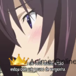 IS: Infinite Stratos 2